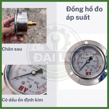 Đồng Hồ Dầu Đo Áp Suất HV Chân Sau Y63 Y100