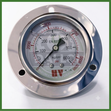 Đồng Hồ Dầu Đo Áp Suất HV Chân Sau Y63 Y100