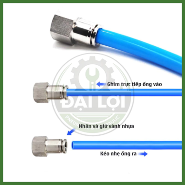 Nối Khí Nén Inox 304 IPCF | Đầu Nối Ren Trong